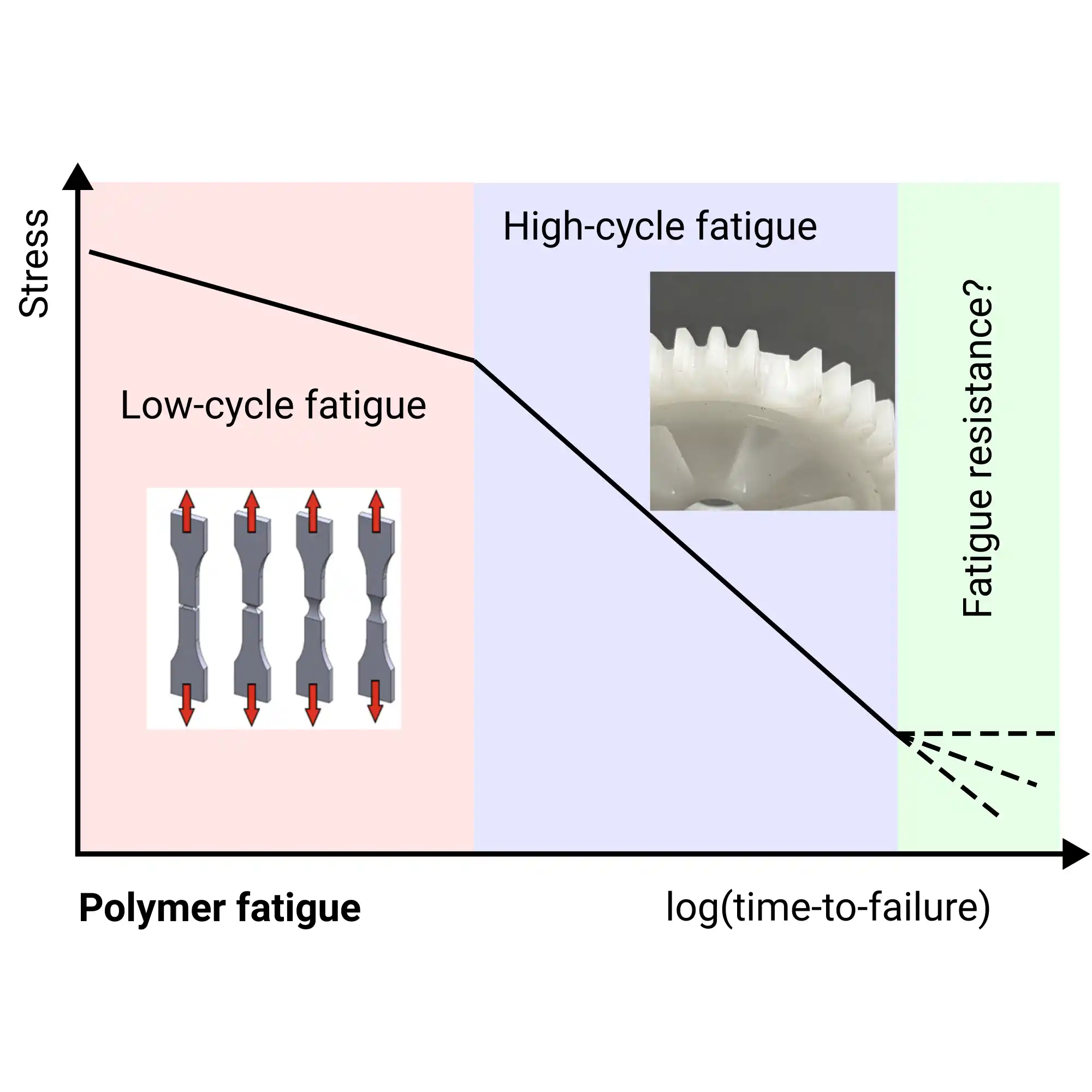 Schematic fatigue S-N curve for polymers