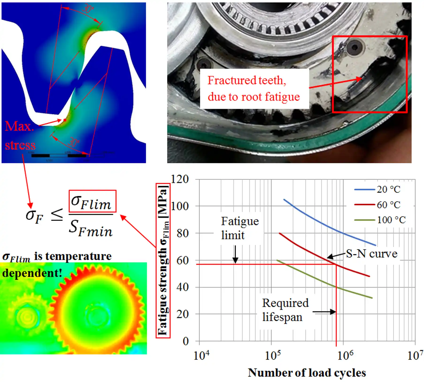 Plastic gear temperature dependent S-N curves